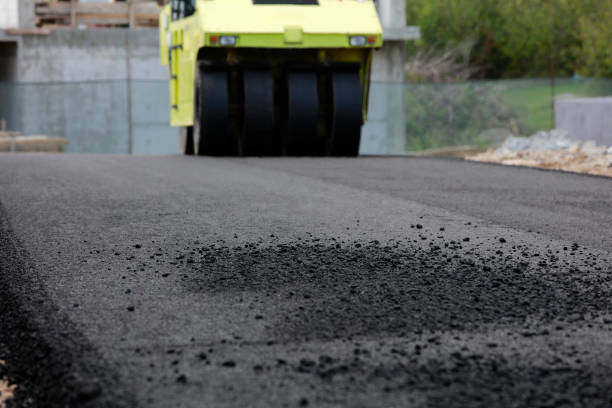 Professional Driveway Pavers in La Joya, TX
