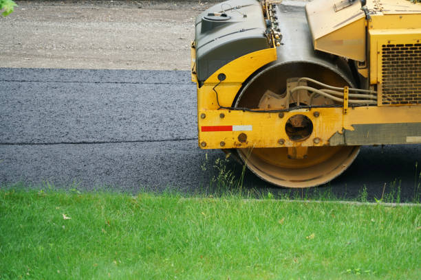 Best Residential Driveway Paver Services  in La Joya, TX