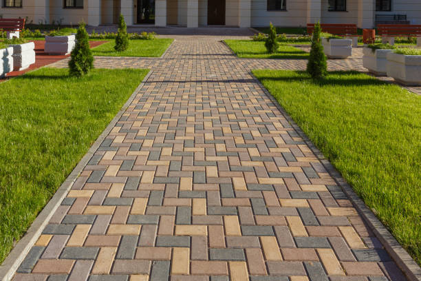 Best Concrete Paver Driveway  in La Joya, TX